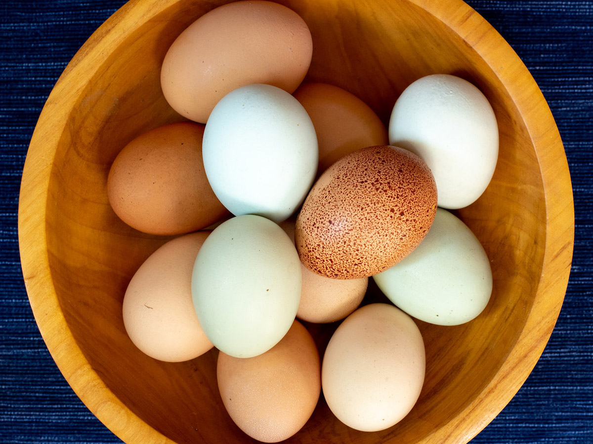 are eggs a nootropic-1
